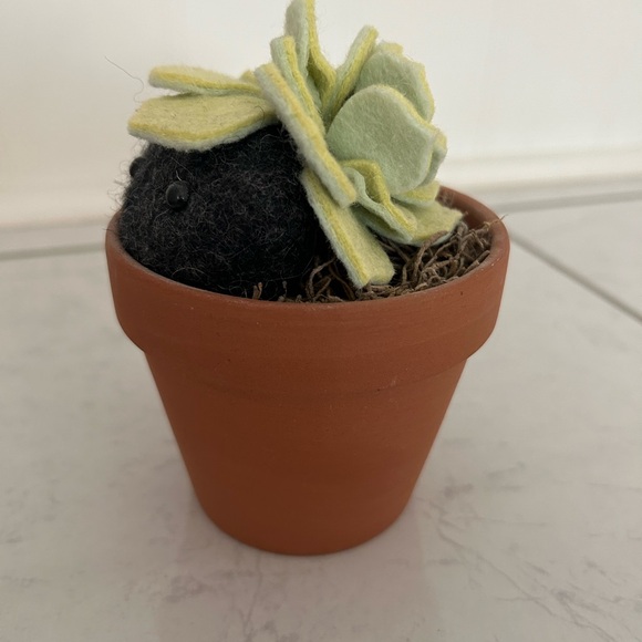 Felt Succulent Plant with Pet Rock in Clay Pot. - Picture 4 of 4